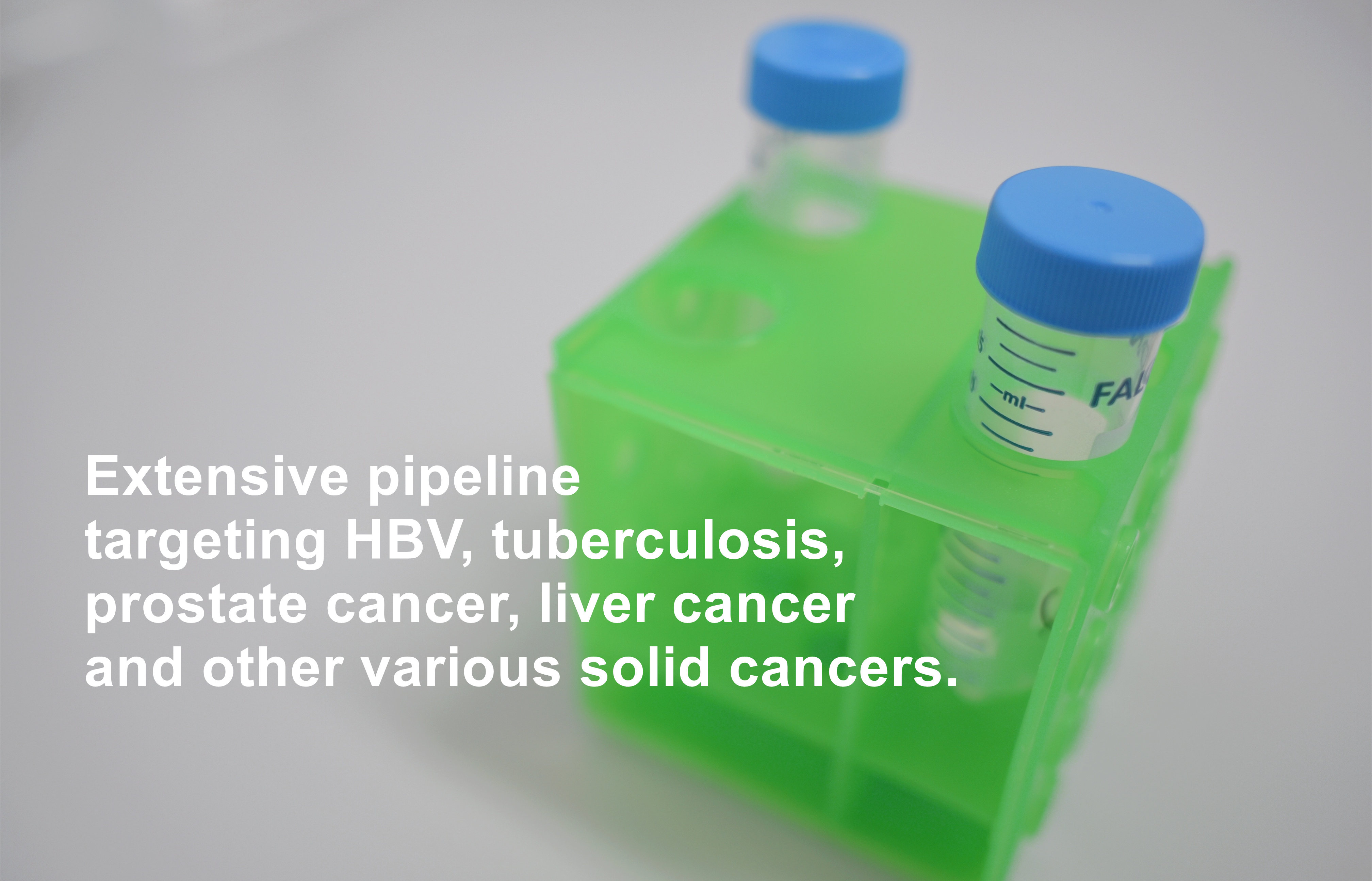 Therapeutic HBV Vaccine